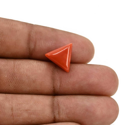 Red Coral (Moonga) Carat 4.54