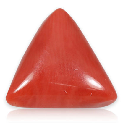 Red Coral (Moonga) - 5.71 Carat