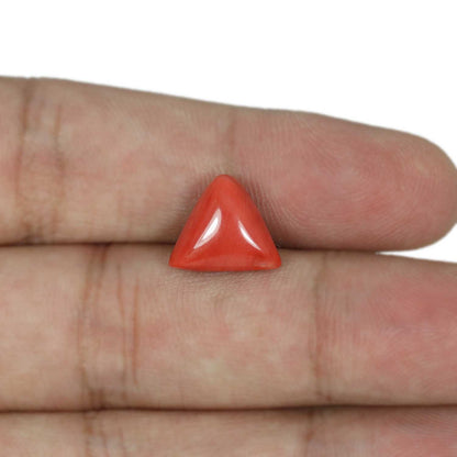 Red Coral (Moonga) - 5.71 Carat