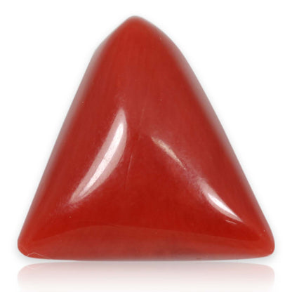 Red Coral (Moonga) - 5.88 Carat