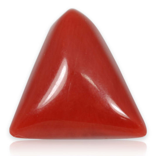 Red Coral (Moonga) - 5.88 Carat