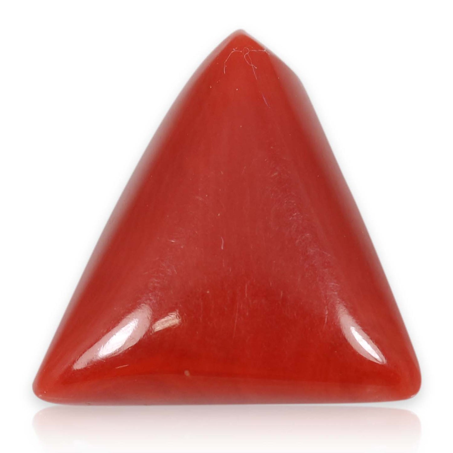 Red Coral (Moonga) - 5.88 Carat