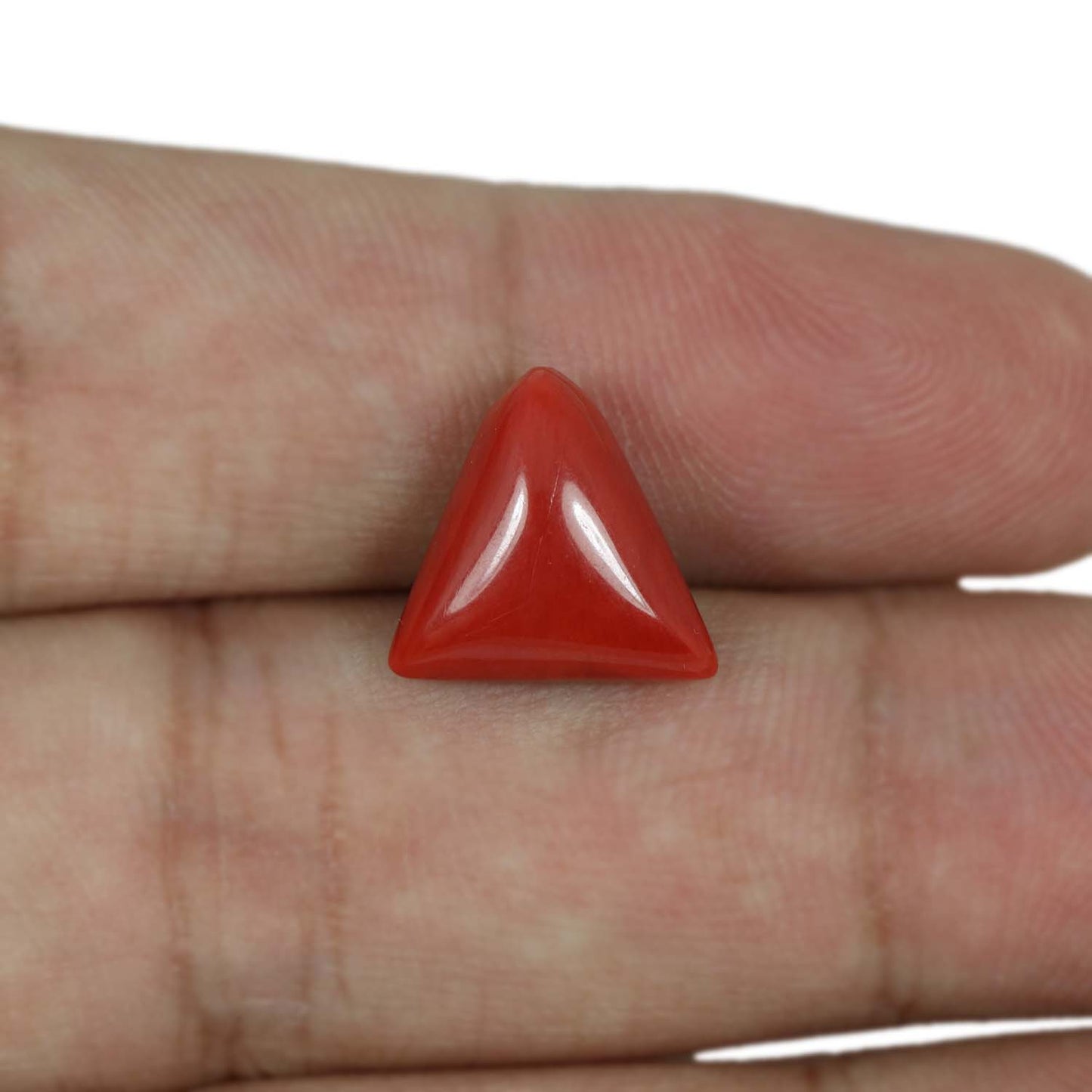 Red Coral (Moonga) - 5.88 Carat
