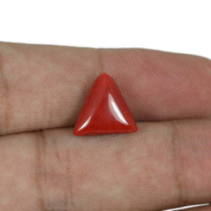 Red Coral (Moonga) - 5.88 Carat