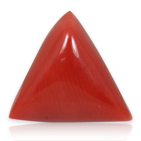 Red Coral (Moonga) - 5.64 Carat