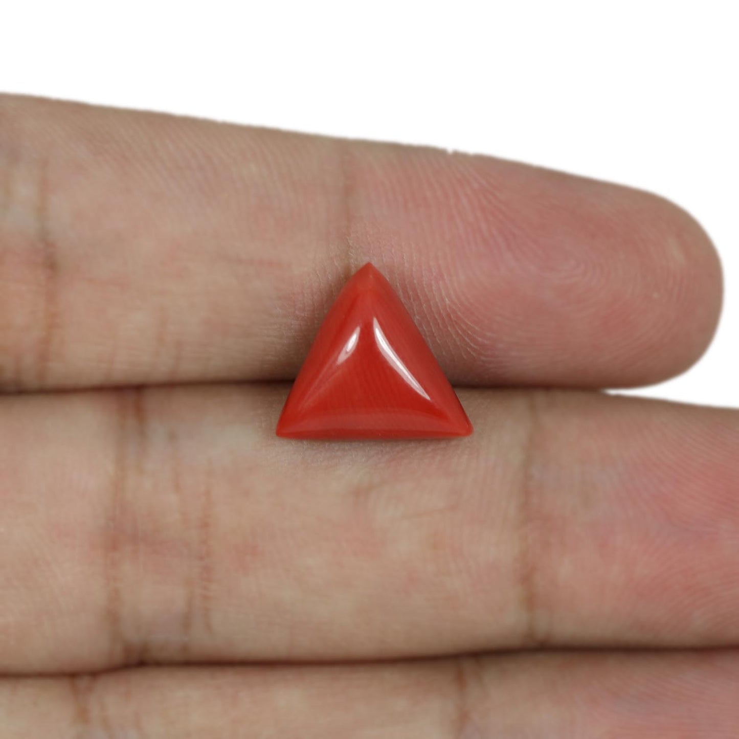 Red Coral (Moonga) - 5.64 Carat