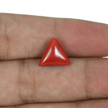 Red Coral (Moonga) - 5.64 Carat
