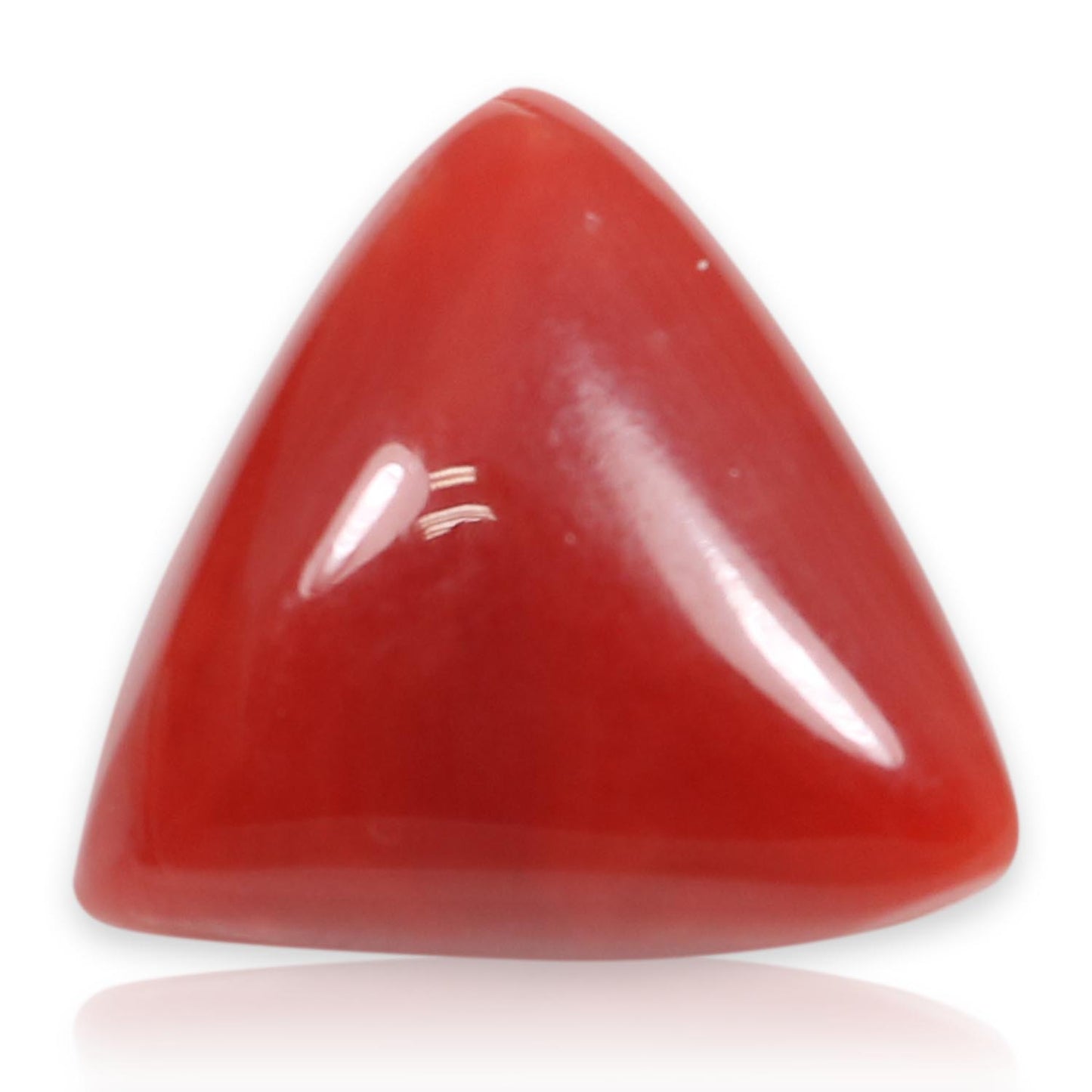 Red Coral (Moonga) - 5.86 Carat