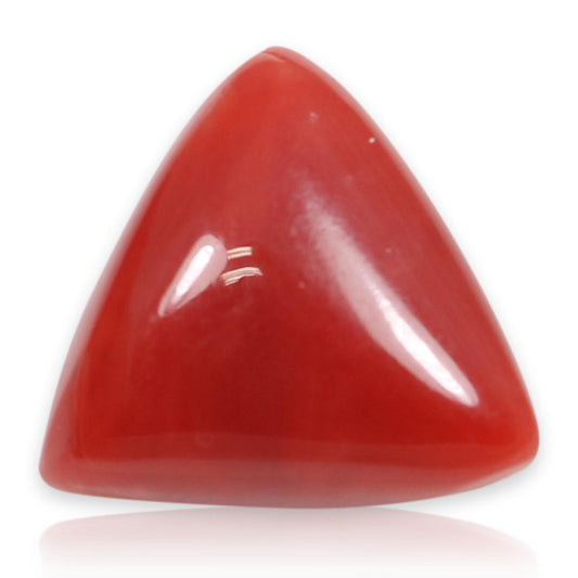 Red Coral (Moonga) - 5.86 Carat