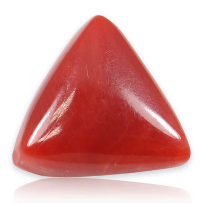 Red Coral (Moonga) - 5.86 Carat
