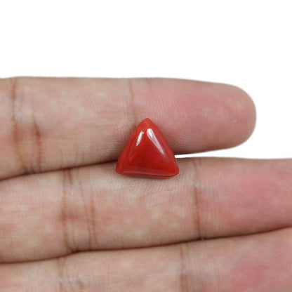 Red Coral (Moonga) - 5.86 Carat