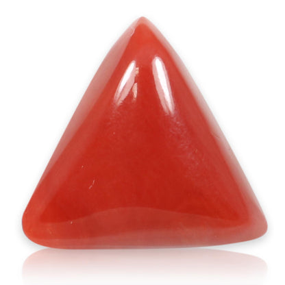 Red Coral (Moonga) - 5.62 Carat