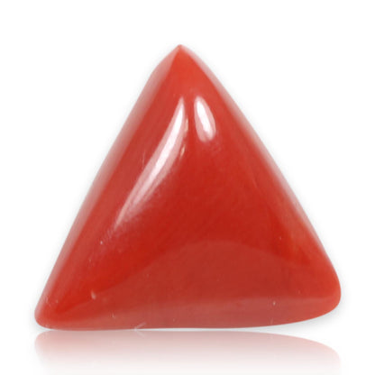 Red Coral (Moonga) - 5.62 Carat