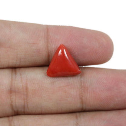 Red Coral (Moonga) - 5.62 Carat