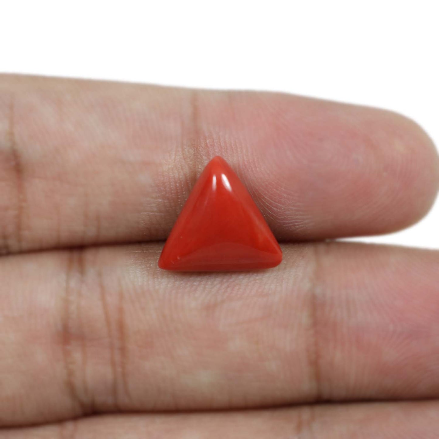 Red Coral (Moonga) - 5.62 Carat