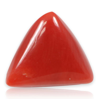 Red Coral (Moonga) - 7.63 Carat