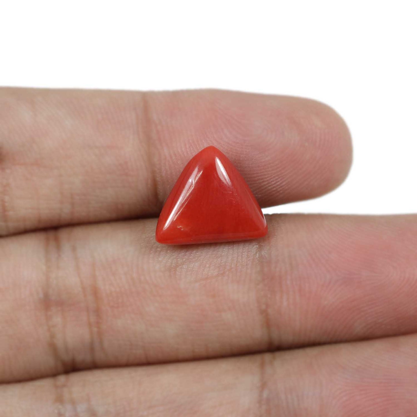 Red Coral (Moonga) - 7.63 Carat