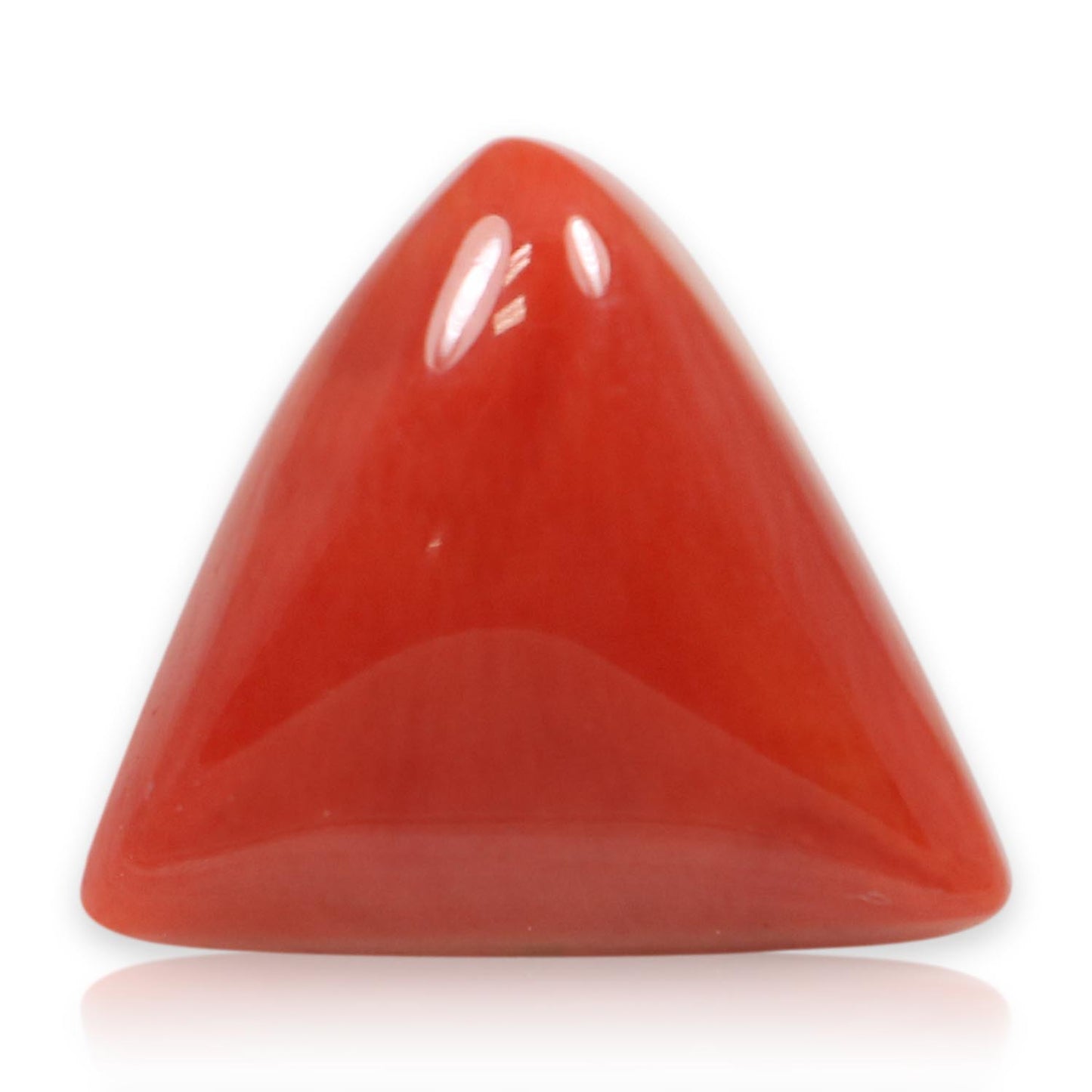 Red Coral (Moonga) - 5.93 Carat