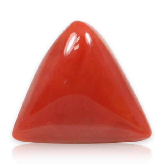 Red Coral (Moonga) - 5.93 Carat
