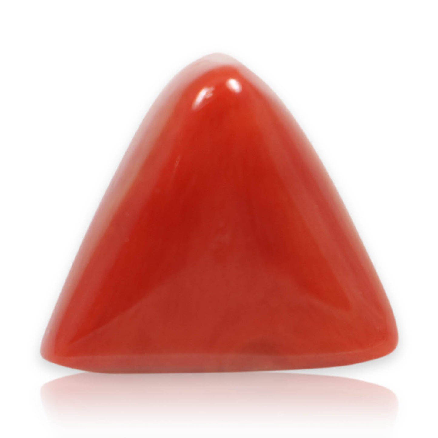 Red Coral (Moonga) - 5.93 Carat