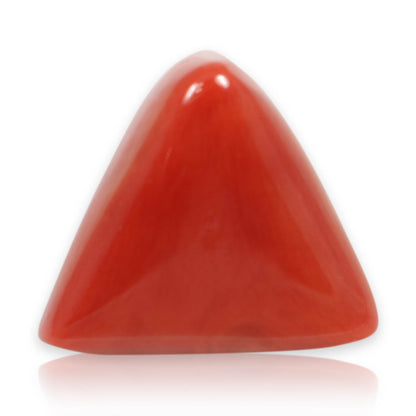 Red Coral (Moonga) - 5.93 Carat