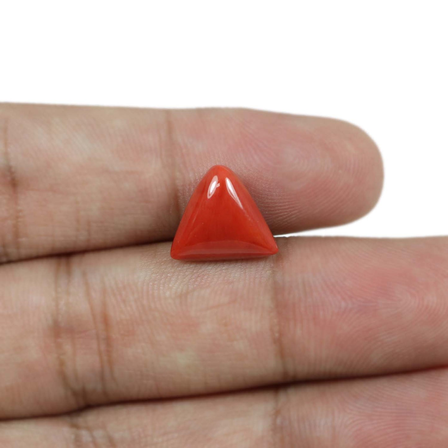 Red Coral (Moonga) - 5.93 Carat