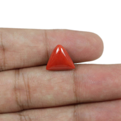 Red Coral (Moonga) - 5.93 Carat