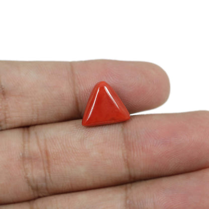 Red Coral (Moonga) - 5.93 Carat