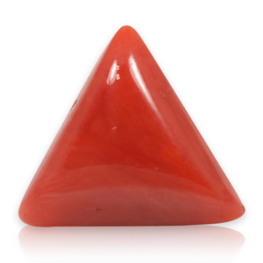 Red Coral (Moonga) - 5.9 Carat