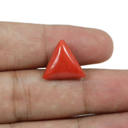 Red Coral (Moonga) - 8.93 Carat