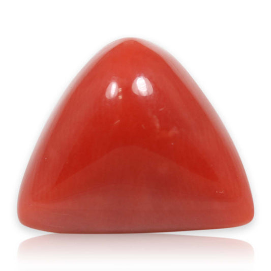 Red Coral (Moonga) - 8.54 Carat
