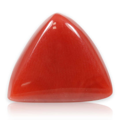 Red Coral (Moonga) - 8.54 Carat
