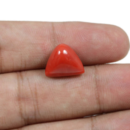 Red Coral (Moonga) - 8.54 Carat