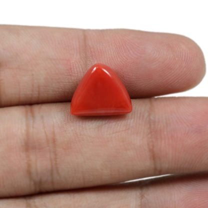 Red Coral (Moonga) - 8.54 Carat