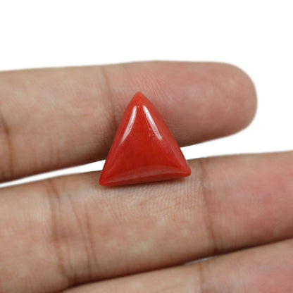 Red Coral (Moonga) - 10.51 Carat
