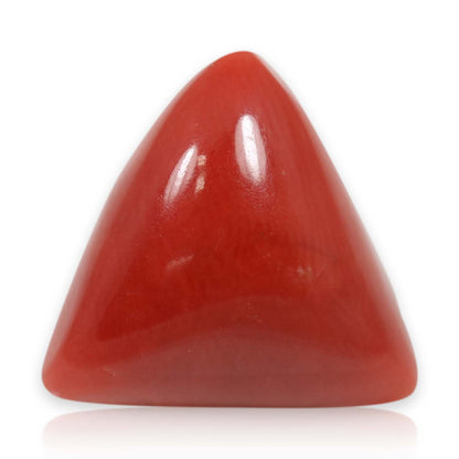 Red Coral (Moonga) - 8.66 Carat
