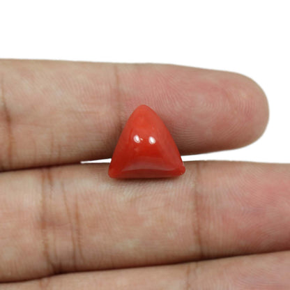 Red Coral (Moonga) - 8.66 Carat
