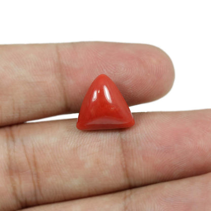 Red Coral (Moonga) - 8.66 Carat