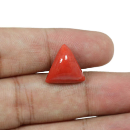 Red Coral (Moonga) - 10.35 Carat