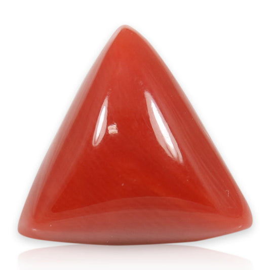 Red Coral (Moonga) - 5.6 Carat
