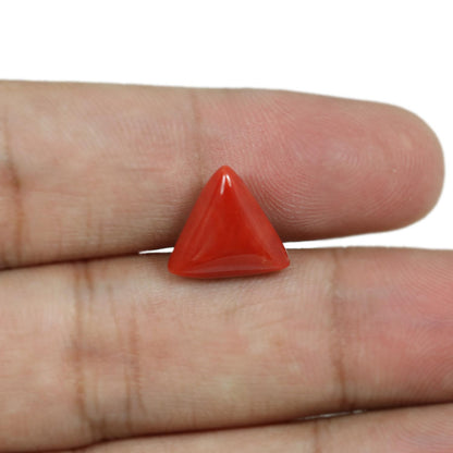 Red Coral (Moonga) - 5.6 Carat