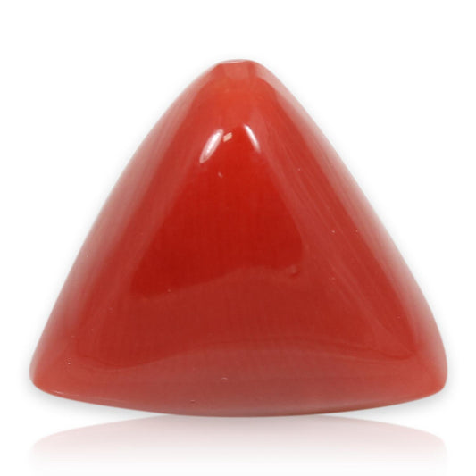 Red Coral (Moonga) - 5.66 Carat