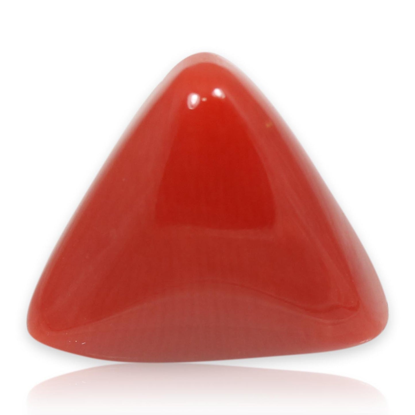 Red Coral (Moonga) - 5.66 Carat