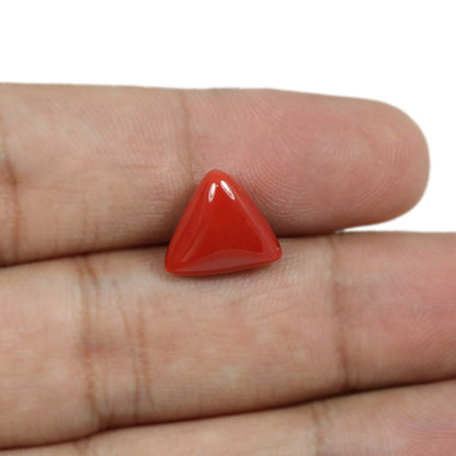 Red Coral (Moonga) - 5.66 Carat