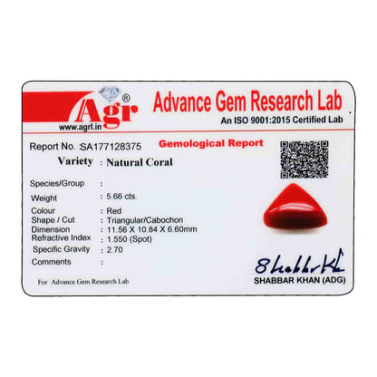 Red Coral (Moonga) - 5.66 Carat