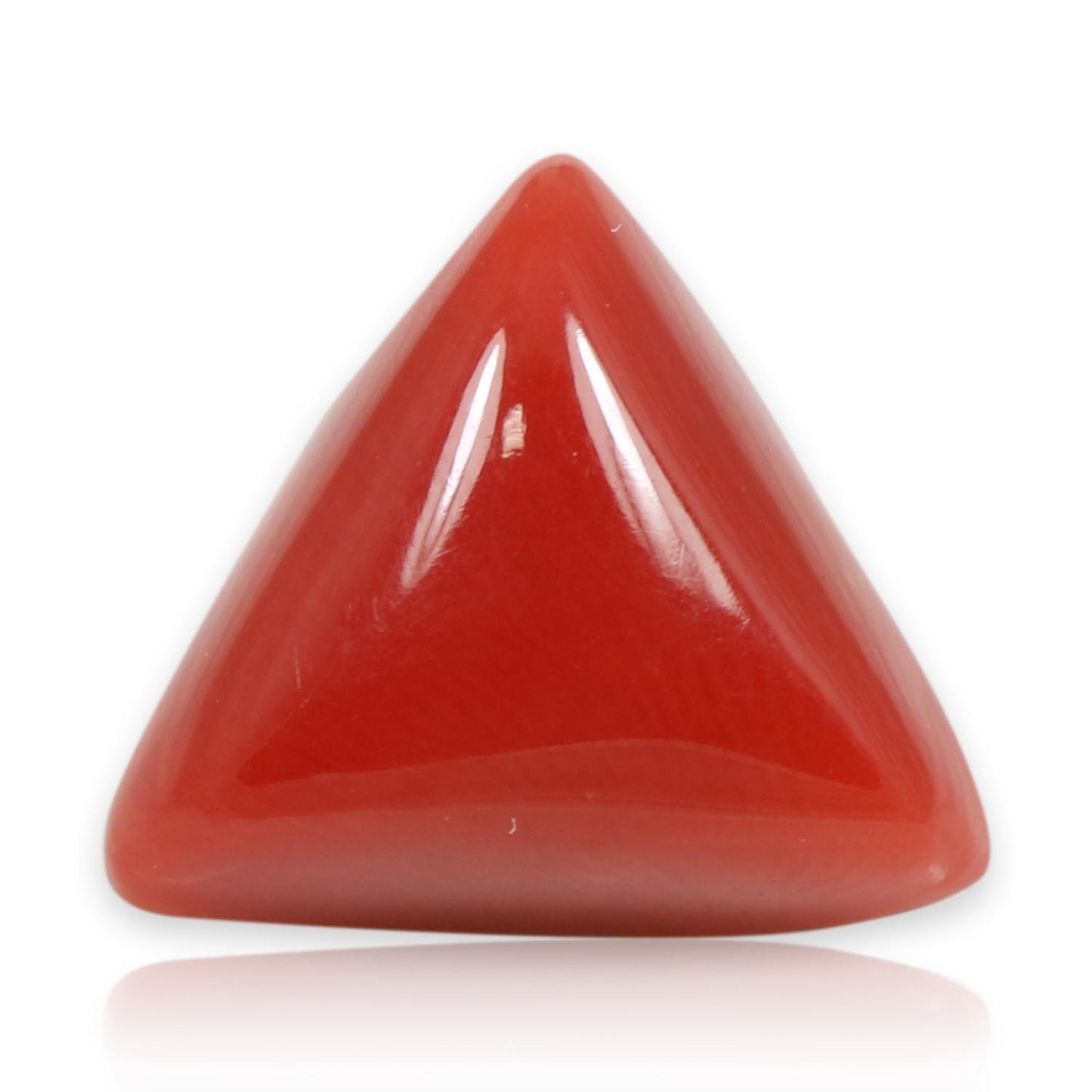 Red Coral (Moonga) - 5.58 Carat