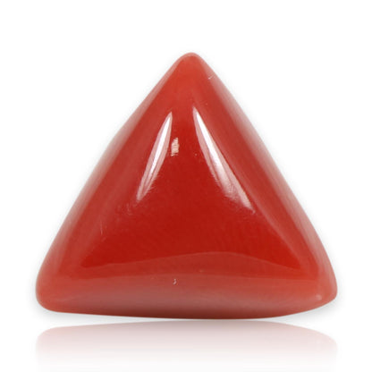 Red Coral (Moonga) - 5.58 Carat