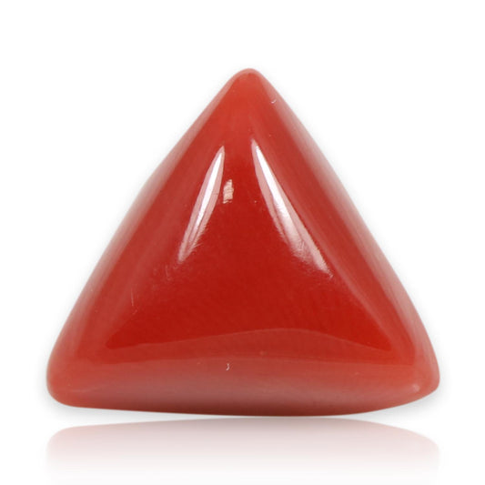 Red Coral (Moonga) - 5.58 Carat