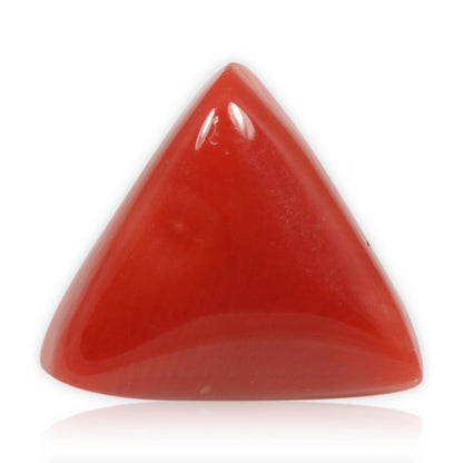 Red Coral (Moonga) - 5.58 Carat