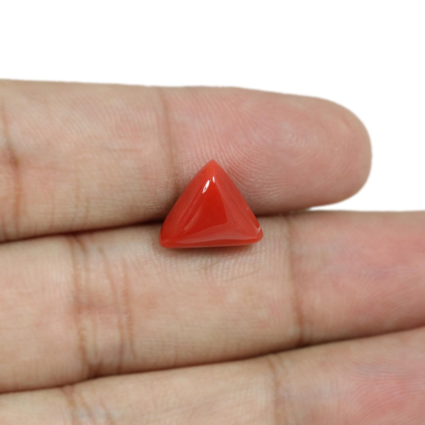 Red Coral (Moonga) - 5.58 Carat